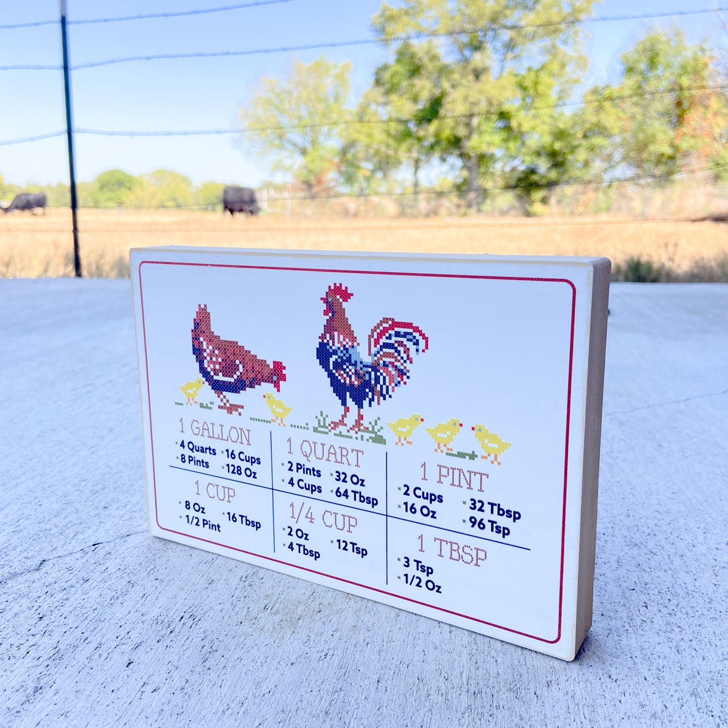 Kitchen Conversion Decor