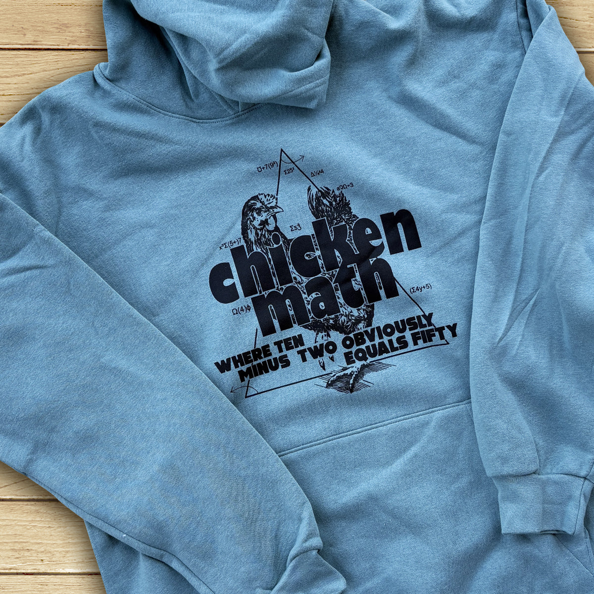 Premium 2026 Chicken Math Hoodie