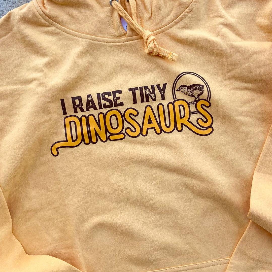 Tiny Dino Hoodie