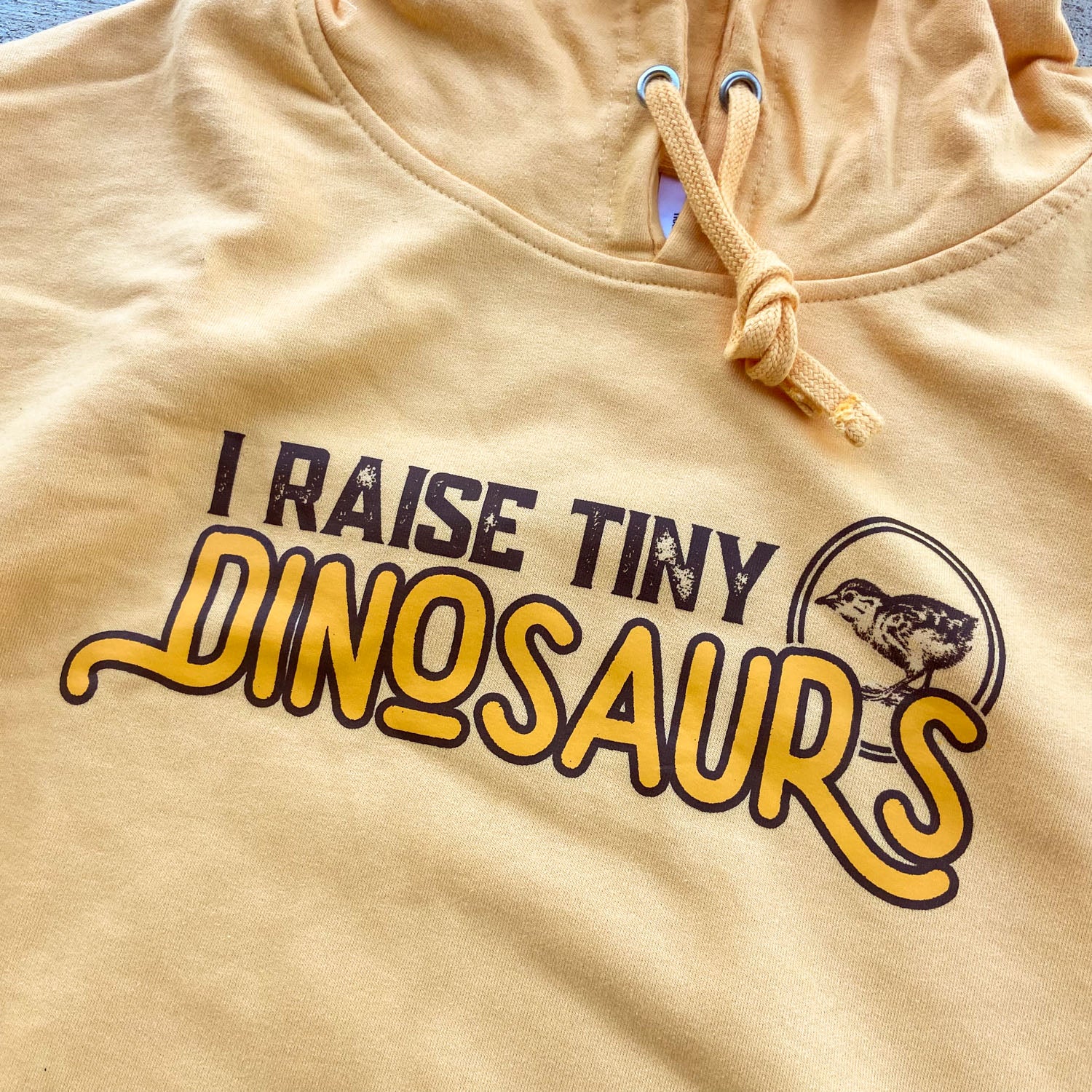 Tiny Dino Hoodie