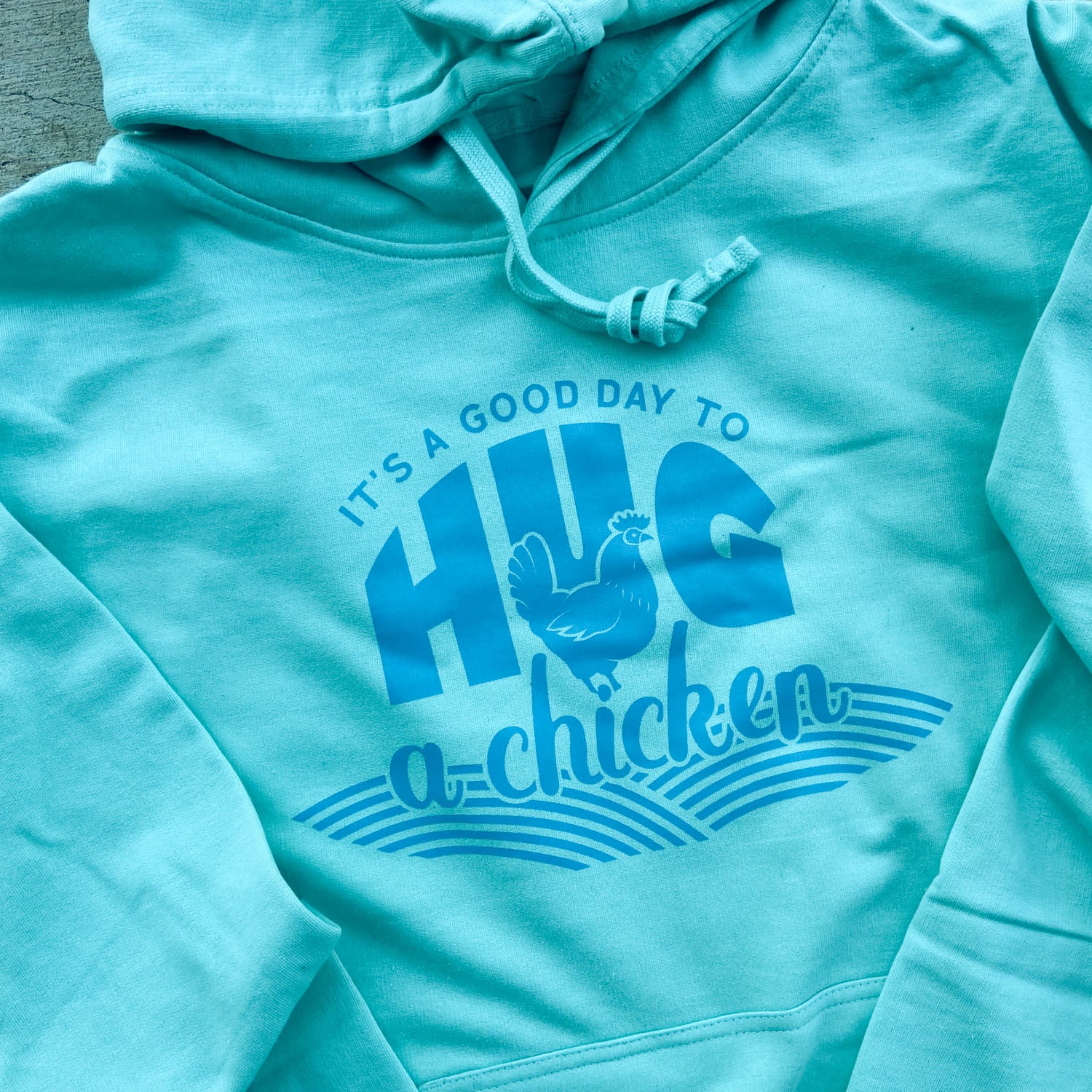 Hug a Chicken Hoodie