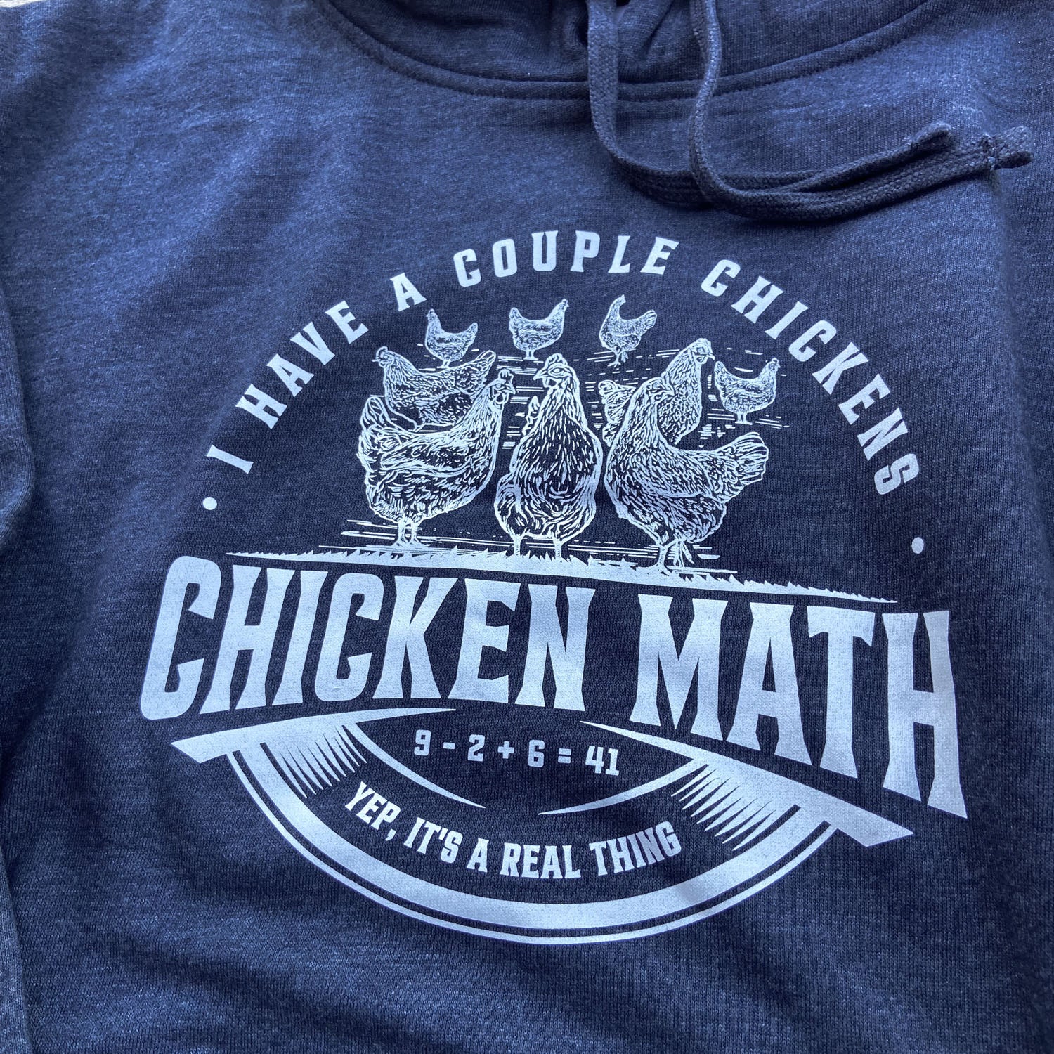 Chicken Math Hoodie