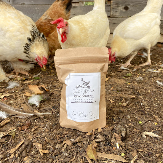 Organic Chick Starter - 2lb Bag